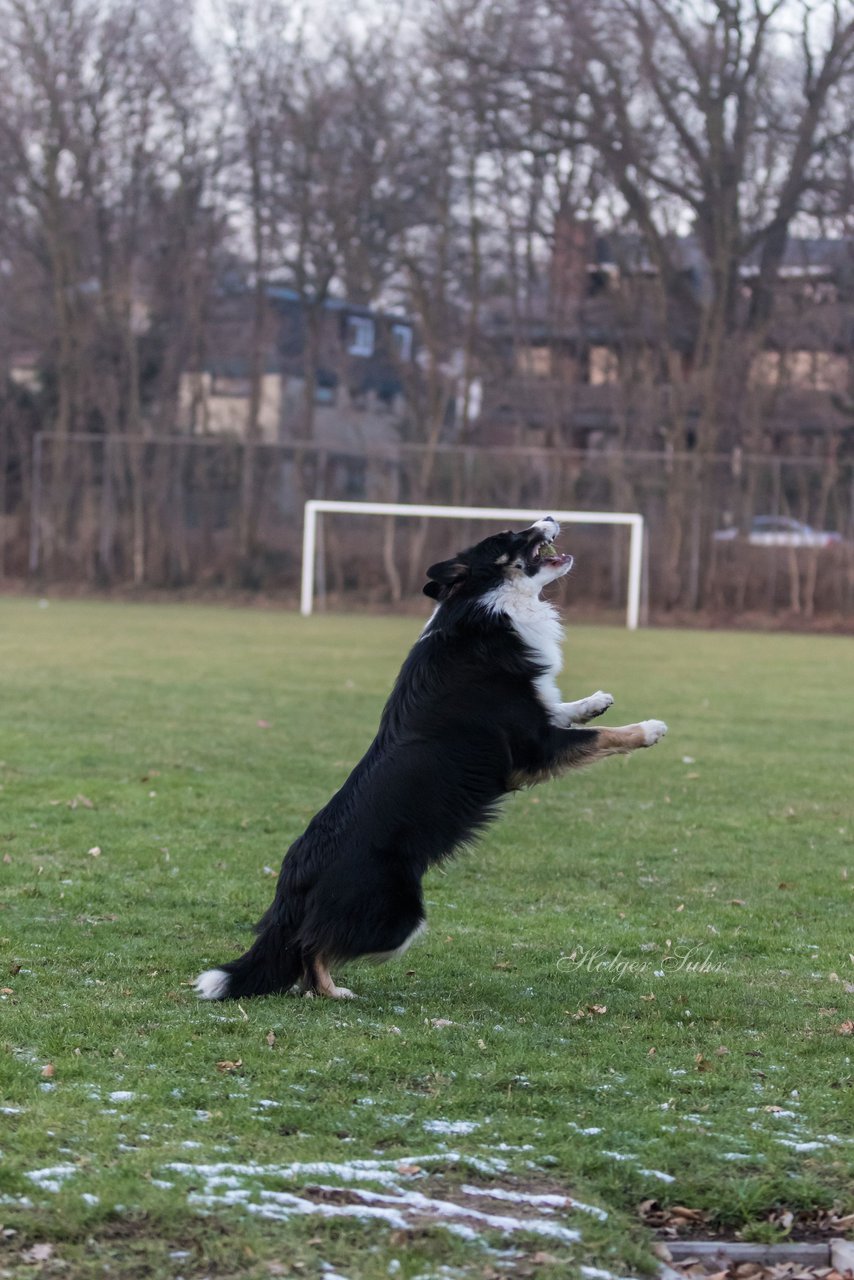 Bild 96 - Hundeshooting